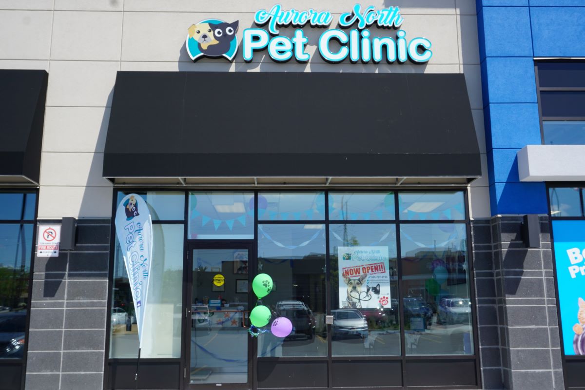 Aurora North Pet Clinic | Vet Clinic in Aurora, Ontario | Home