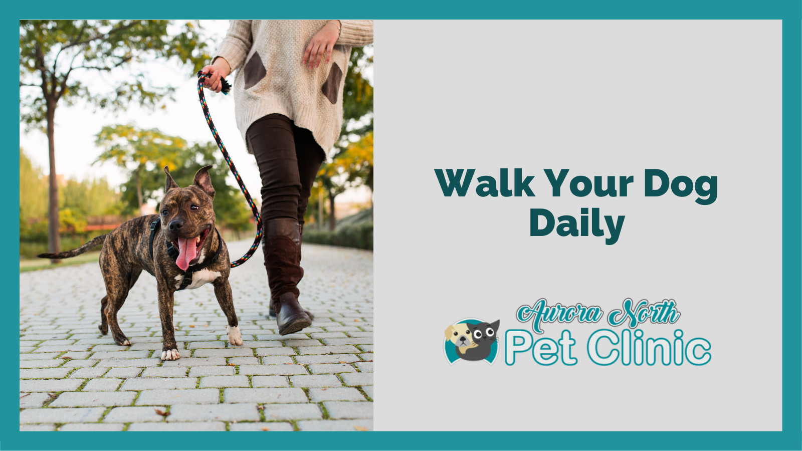 Walk Your Dog Daily - Aurora North Pet Clinic | Veterinary Clinic