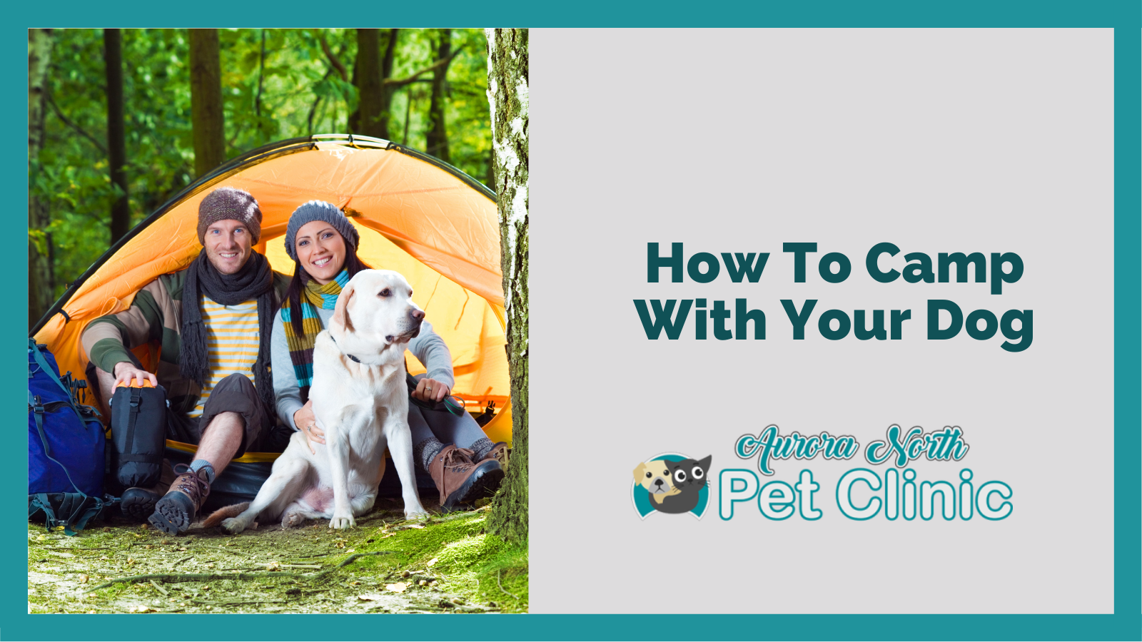 How To Camp With Your Dog - Aurora North Pet Clinic | Veterinary Clinic